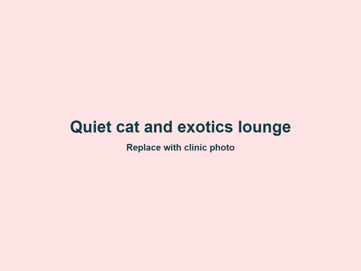 Quiet cat and exotics lounge