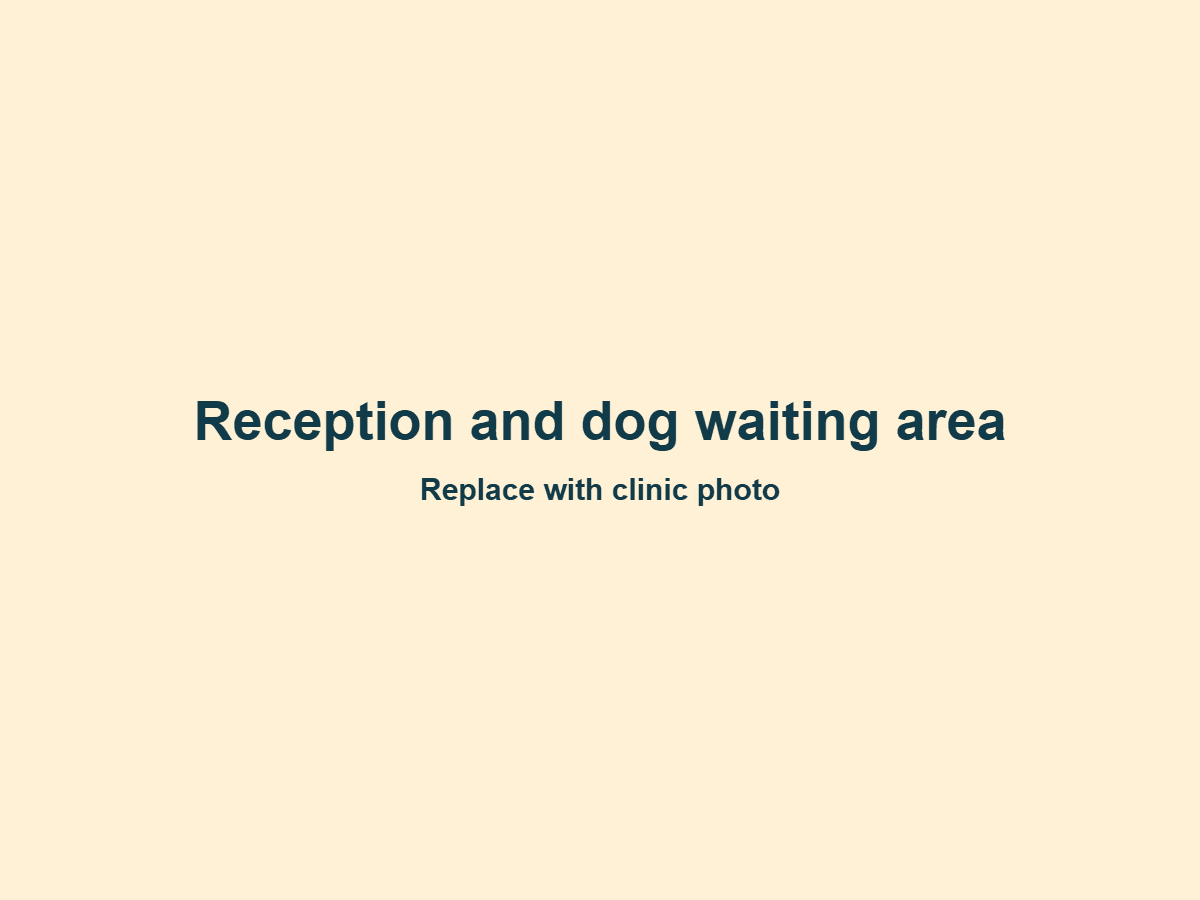 Reception and dog waiting area